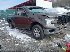 1FTEX1E81GFD36012 2016 FORD F-150