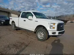 1FTEX1E81HKD37881 2017 FORD F-150