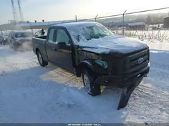 1FTEX1E82GFD60299 2016 FORD F-150