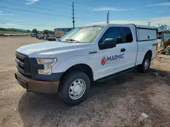 1FTEX1E85GKD83289 2016 FORD F-150