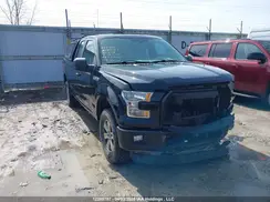 1FTEX1E87GFC63454 2016 FORD F-150