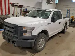 1FTEX1E88GKF73278 2016 FORD F-150