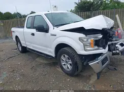 1FTEX1EB7KFC60980 2019 FORD F-150