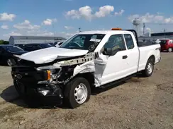 1FTEX1EB9LKD53119 2020 FORD F-150