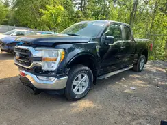 1FTEX1EB9MFB81846 2021 FORD F-150