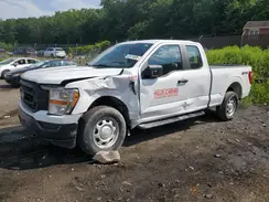 1FTEX1EB9MKE46112 2021 FORD F-150