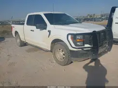 1FTEX1EB9PKD79032 2023 FORD F-150