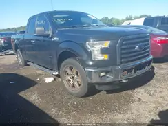1FTEX1EP0GFB09000 2016 FORD F-150