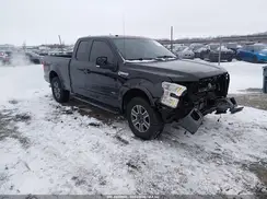 1FTEX1EP0GFB24905 2016 FORD F-150