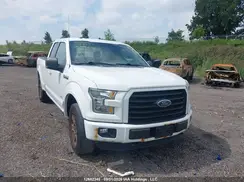1FTEX1EP0GFB88703 2016 FORD F-150