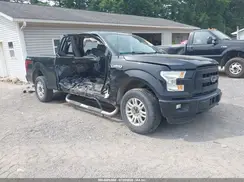 1FTEX1EP1GFA36364 2016 FORD F-150