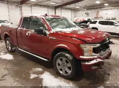 1FTEX1EP3KKF24697 2019 FORD F-150