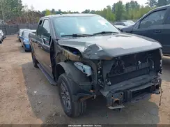 1FTEX1EP4GFD07790 2016 FORD F-150