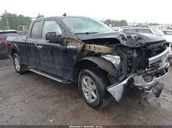 1FTEX1EP4KFB13902 2019 FORD F-150