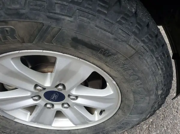 1FTEX1EP7HKE51066 2017 FORD F-150 - Image 8