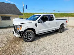 1FTEX1EP7PKD49751 2023 FORD F-150