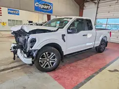 1FTEX1EP7PKE56248 2023 FORD F-150