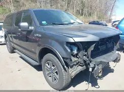 1FTEX1EP8GFB59806 2016 FORD F-150