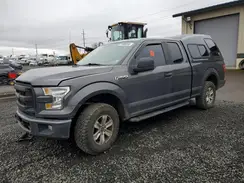 1FTEX1EP8GFC55306 2016 FORD F-150