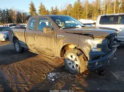 1FTEX1EPXGFA65846 2016 FORD F-150
