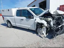 1FTEX1K82RKF06764 2024 FORD F-150