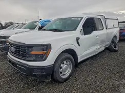1FTEX1KP4RKE76383 2024 FORD F-150
