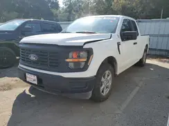 1FTEX1KP8RKE66021 2024 FORD F-150