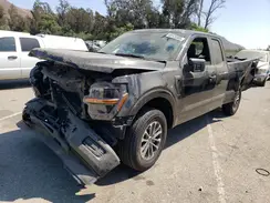 1FTEX1LP0RKE14042 2024 FORD F-150