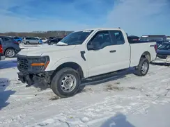 1FTEX1LP1RKD33485 2024 FORD F-150