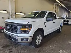 1FTEX1LP1RKE24479 2024 FORD F-150