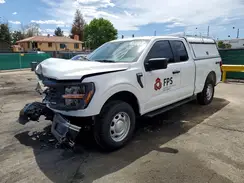 1FTEX1LP2SKD33257 2025 FORD F-150