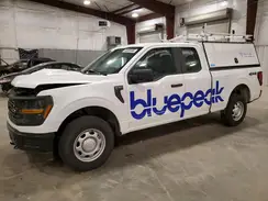 1FTEX1LP5RKE07054 2024 FORD F-150