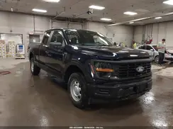 1FTEX1LP6RKD07982 2024 FORD F-150
