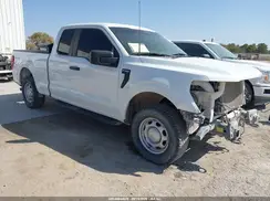 1FTEX1LP6RKE24249 2024 FORD F-150