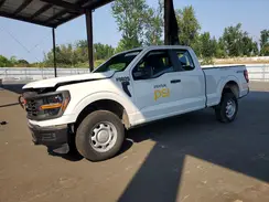 1FTEX1LPXRKD44954 2024 FORD F-150