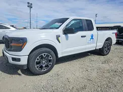 1FTEX2LP2RKD50169 2024 FORD F-150