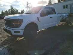 1FTEX2LPXSKF10076 2025 FORD F-150