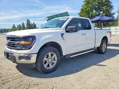 1FTEX3LP3RKF66666 2024 FORD F-150