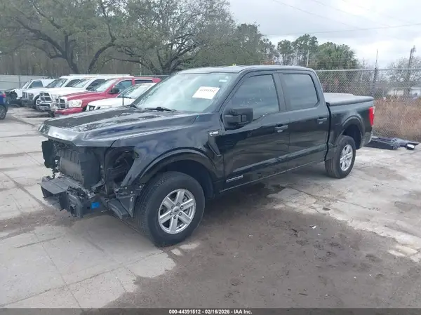 1FTFW1CD6NFB30446 2022 FORD F-150 - Image 2