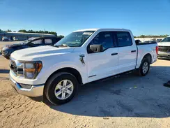 1FTFW1CD7PFA20671 2023 FORD F-150