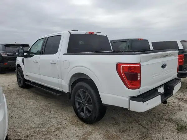 1FTFW1CD9PFA11115 2023 FORD F-150 - Image 2