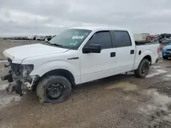 1FTFW1CF1DFB59482 2023 FORD F-150