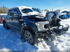 1FTFW1E13KFC71215 2019 FORD F-150