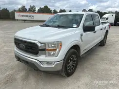 1FTFW1E13MFC73419 2021 FORD F-150