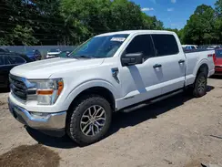 1FTFW1E13MFC73503 2021 FORD F-150