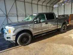 1FTFW1E17KFD15815 2019 FORD F-150