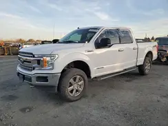 1FTFW1E1XLFA41043 2020 FORD F-150