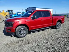 1FTFW1E40KKC60061 2019 FORD F-150