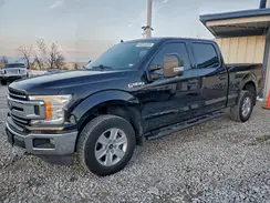 1FTFW1E40LKD29056 2020 FORD F-150