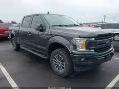 1FTFW1E41KKC36741 2019 FORD F-150